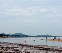 爱游戏中国-海滨暴熊队对阵嵩山雪豹队，拉力赛大师赛惊险晋级，内线统治篮板——全面提速抢占先机的简单介绍