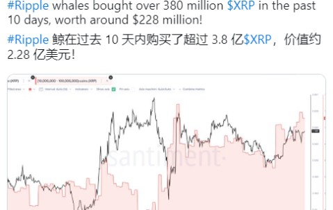 爱游戏体验-XRP投资陷阱遭曝光，已有超485人被骗！