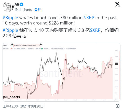 XRP投资陷阱遭曝光，已有超485人被骗！