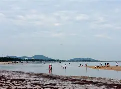 海滨暴熊队对阵嵩山雪豹队，拉力赛大师赛惊险晋级，内线统治篮板——全面提速抢占先机的简单介绍
