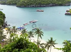 海滨暴熊队对阵嵩山雪豹队，拉力赛大师赛惊险晋级，内线统治篮板——全面提速抢占先机的简单介绍